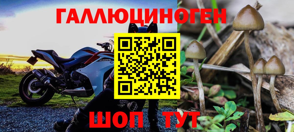Псилоцибиновые грибы Magic Shrooms  Вход с VPN  Балашов 